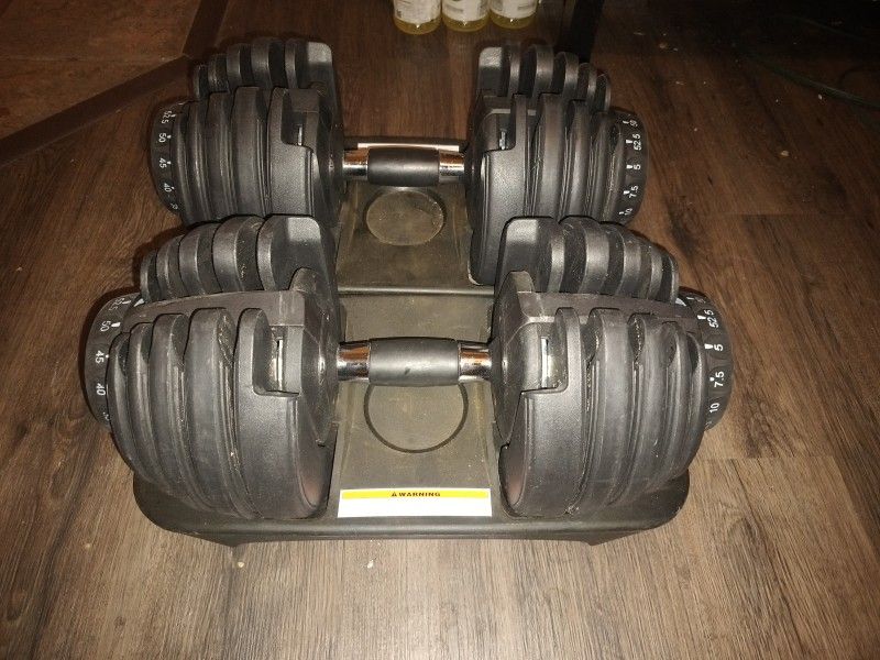 Rogue Fitness Adjustable Dumbbells