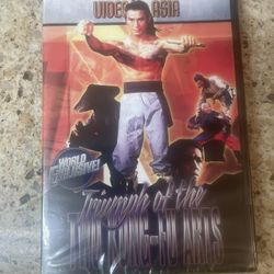 Triumph of the Two Kung-Fu Arts (DVD) - Chen Hui Man