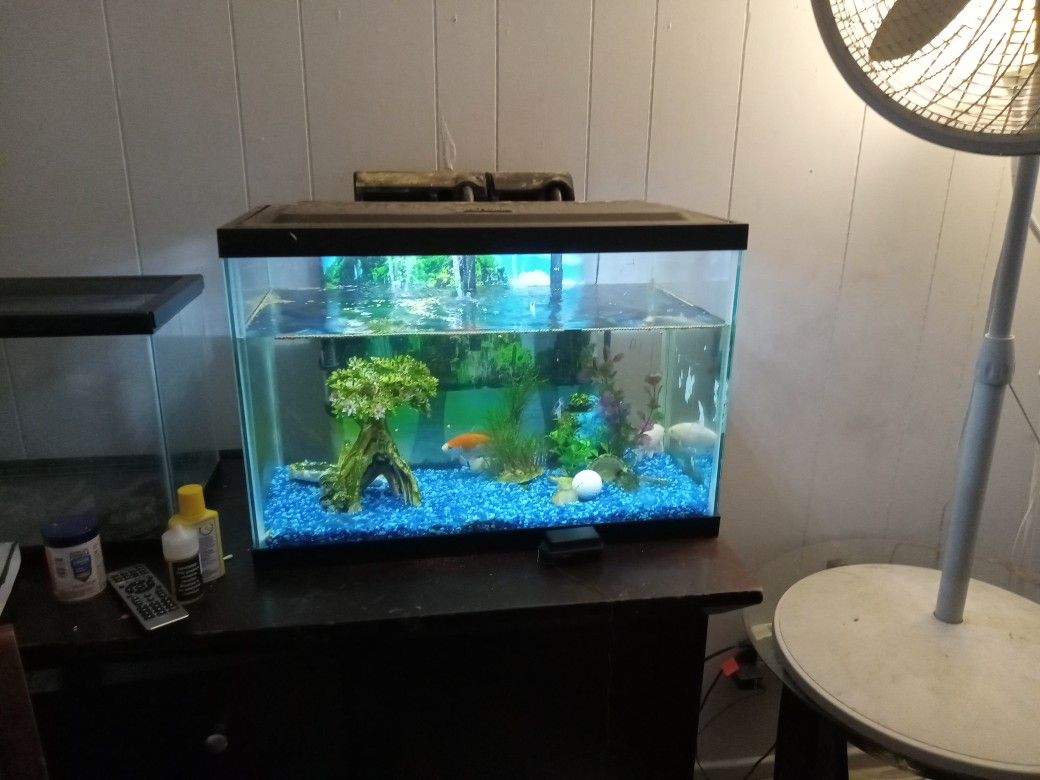 Fish Tank  