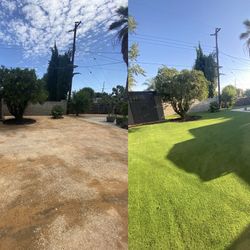 TURF Artificial Fake GRASS TURF