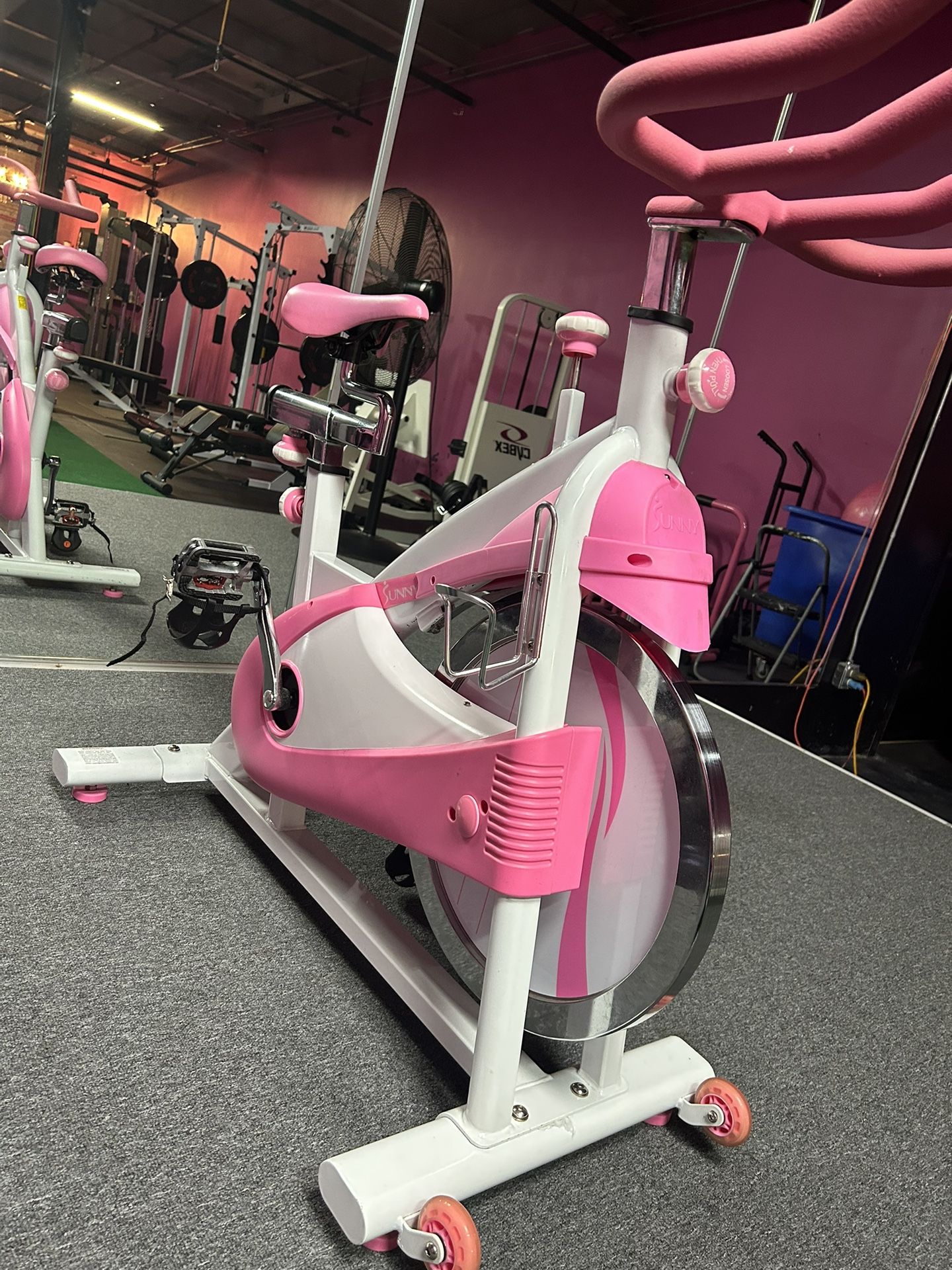 Pink spin Bikes