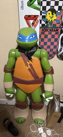 Ninja Turtle