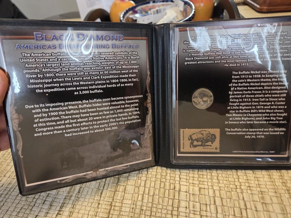 Black Diamond. America. S.Disappearing Buffalo 
