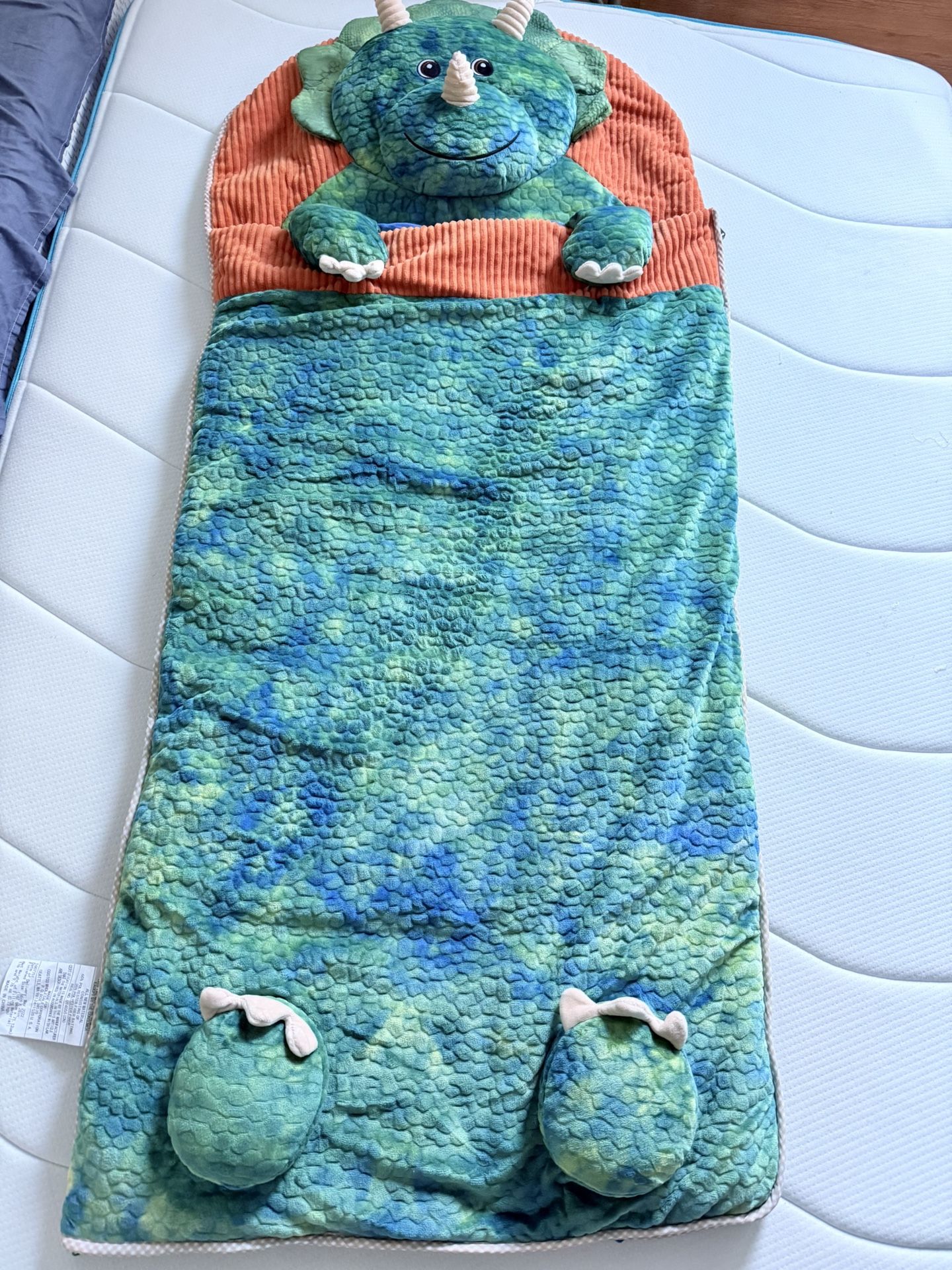 Dinosaur Sleep Bag For Kids