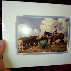 Western Assorted Prints