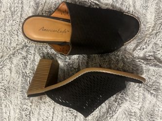 American eagle Sandel 