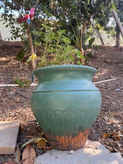 Clay Pots for Plants