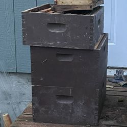 Bee Boxes