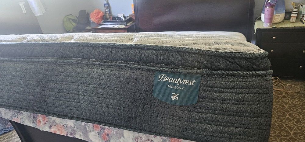 NEW Beautyrest Harmony Cypress
