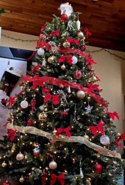 Christmas  Tree