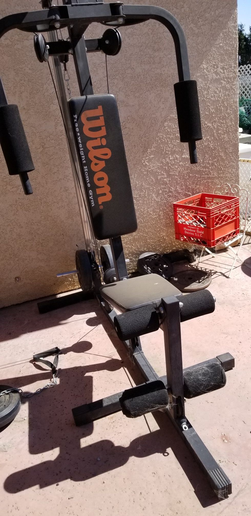 Wilson home gym soloflex bowflex workout equipment