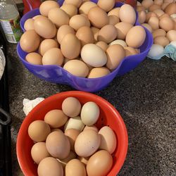 Pasture Raised Eggs