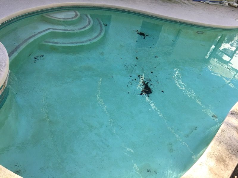 Pool resurfacing and paint pool resurface pebble Tec Diamond Brite pool