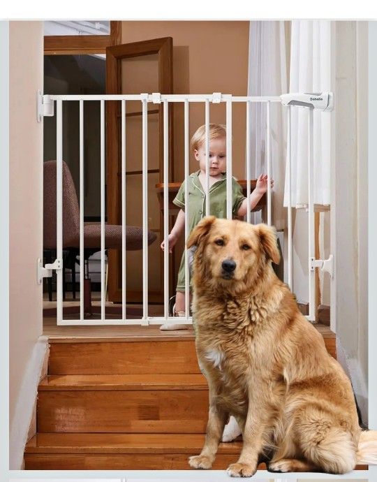 Baby Or Pet Safety Gate