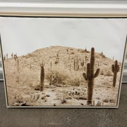 🏜️🌵 Desert Painting 🏜️🌵