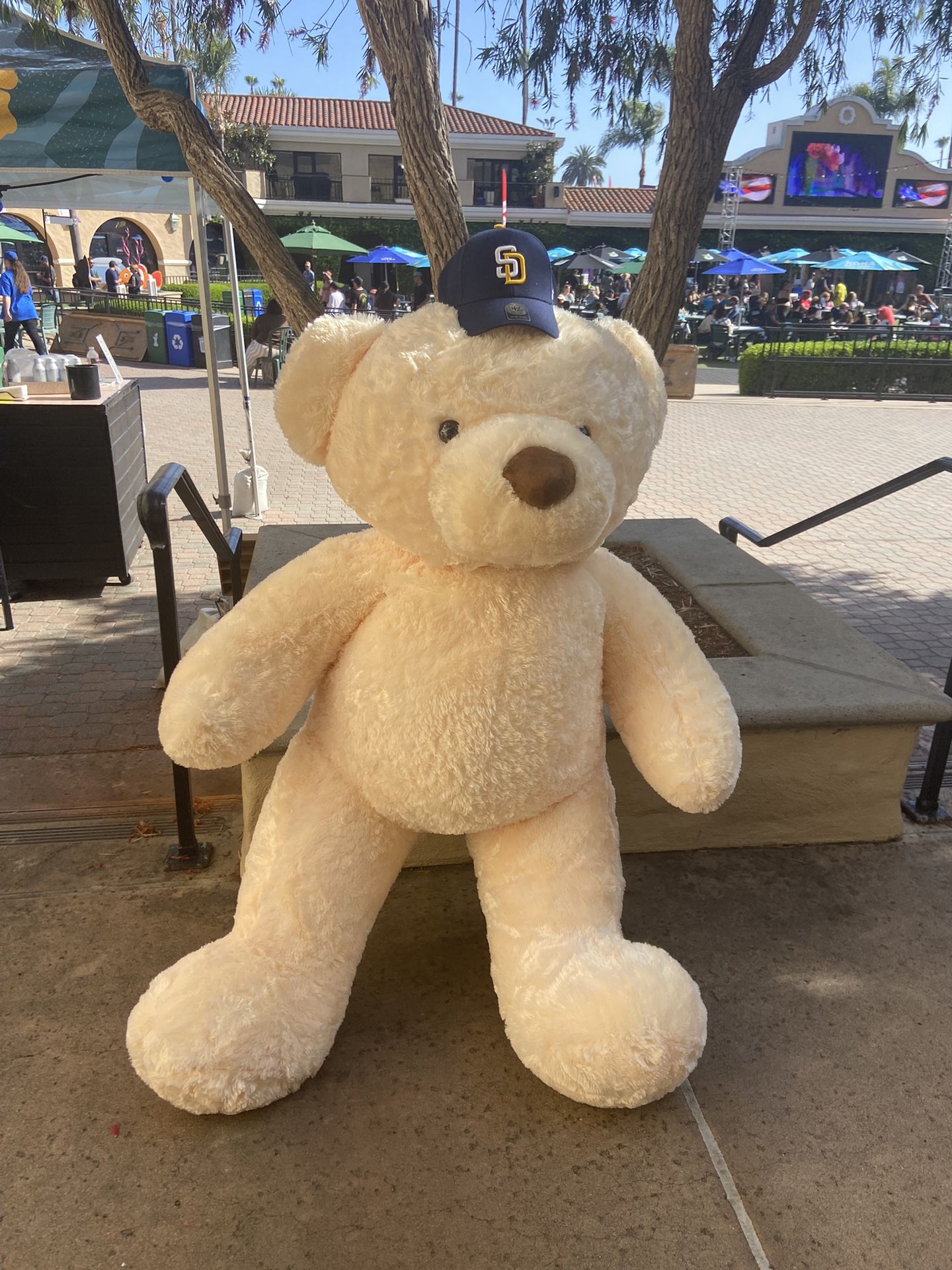 Big Teddy Bear NEW