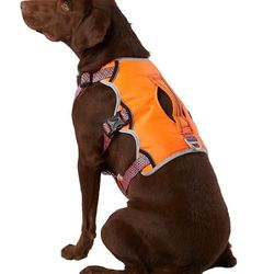 2 Heavy Duty Dog Harnesses And Leashes 