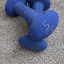 5lb dumbbells