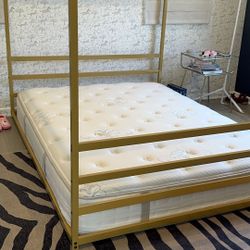 Queen Size Montessori Bed Frame - Gold