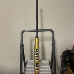 Usssa Softball Bat
