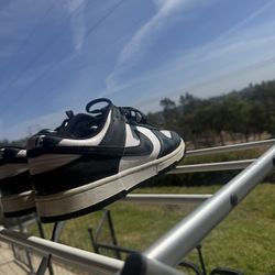 Nike Pandas 9 1/2 Men’s