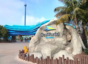 Seaworld tickets
