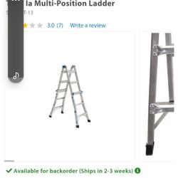 Werner MT 13 Ladder