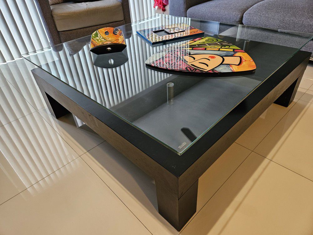 Coffee Table With  Storage , Glass Top