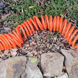 Air Hose with Fittings ($10 if picked up Saturday)