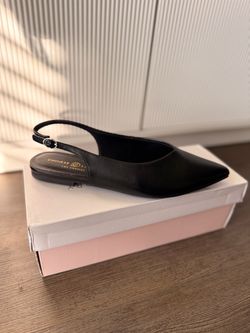 Woman's Chinese Laundry Flat ( Brand New )