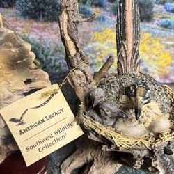  Vintage Classic American Legacy Southwest Wildlife Collection  Roadrunner  Mother with Chicks in Nest