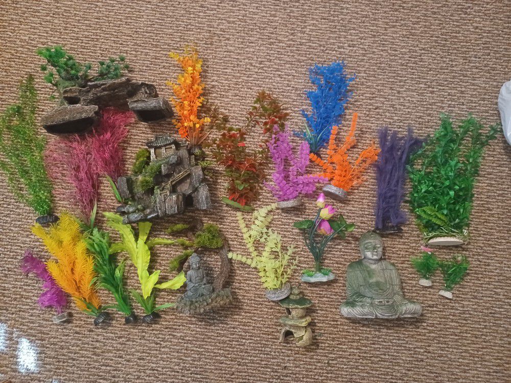 Large Clean Fish Tank Display Plants And Statues