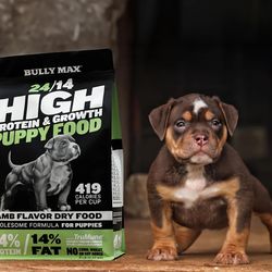 Dog Food
