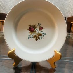 Antique Alfred Meakin Royal Ironstone 9-Inch Plate – Moss Rose Pattern 