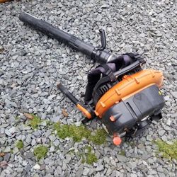 Echo Backpack Blower
