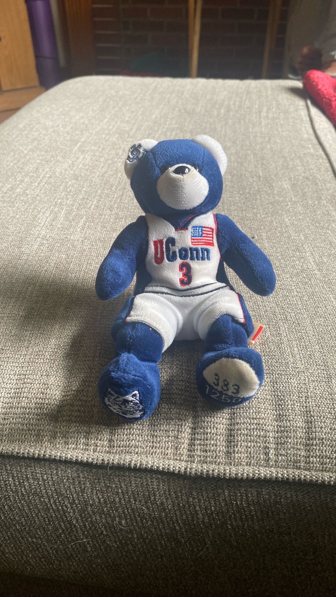 UConn Team bear