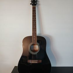 Vineyard Acoustic Guitar 