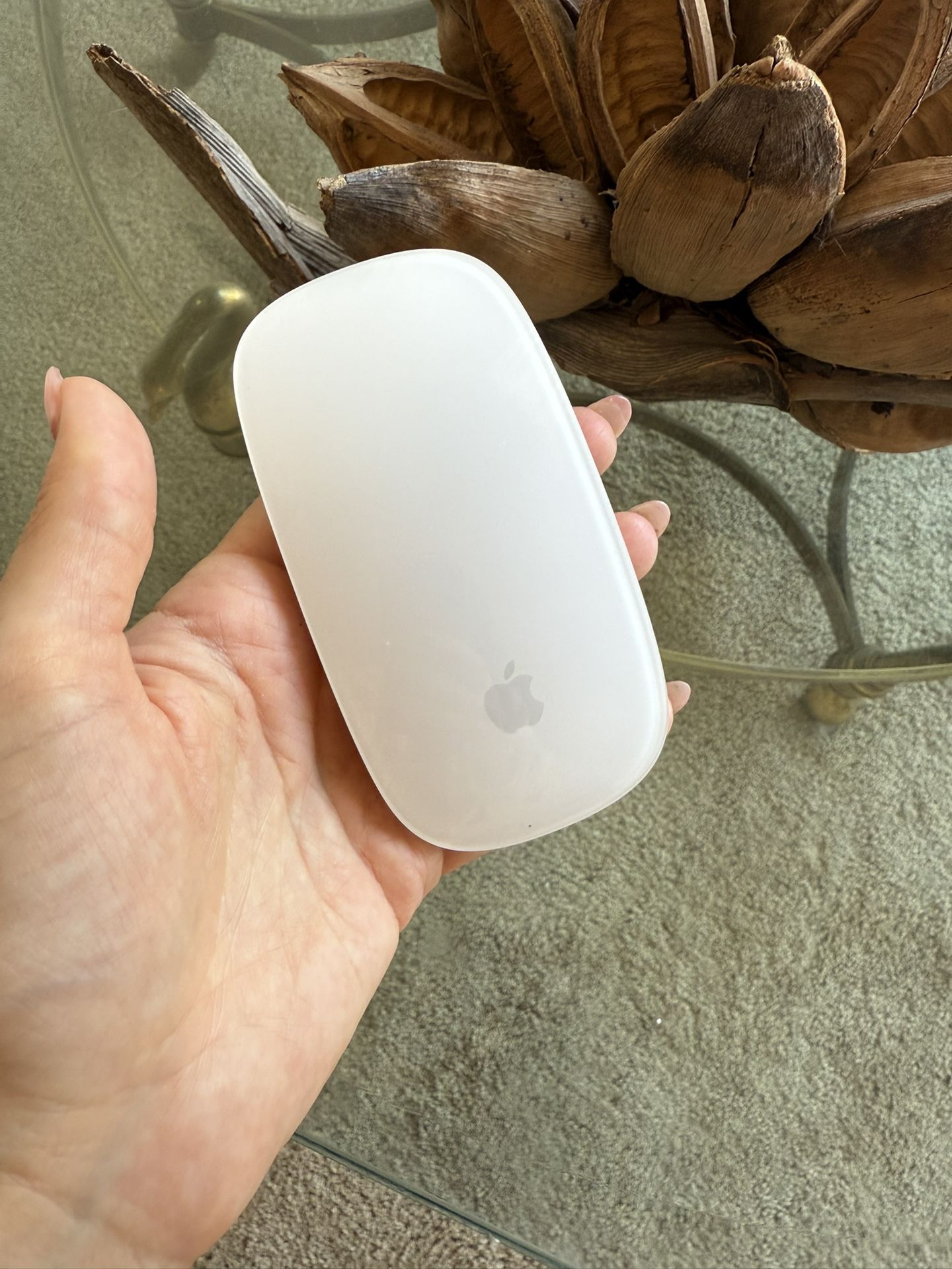 Apple Magic Mouse Multi Touch Surface