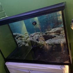 Reptile/fish/ Critter Tank 