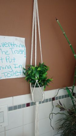 Hanging ceramic plants