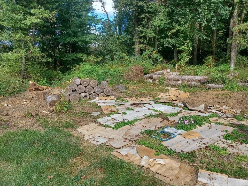 FREE FIREWOOD