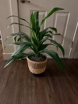 Faux plant