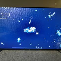 Sony Bravia X90CK 65in Google tv - 120hz