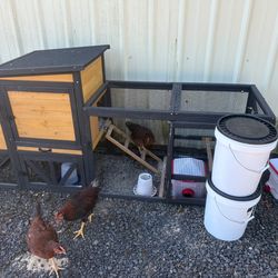 Chicken coop and all accessories