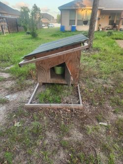 Dog House / Chicken Coop