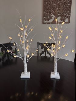 Set of 2- 2ft LED Birch Tree Lights, 8 light settings (Queen Creek)