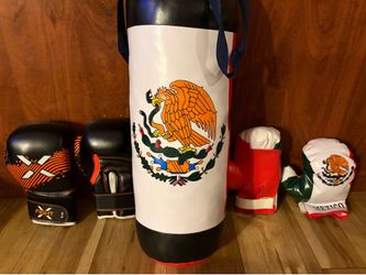 Kids toy boxing gear