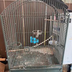 Bird cage