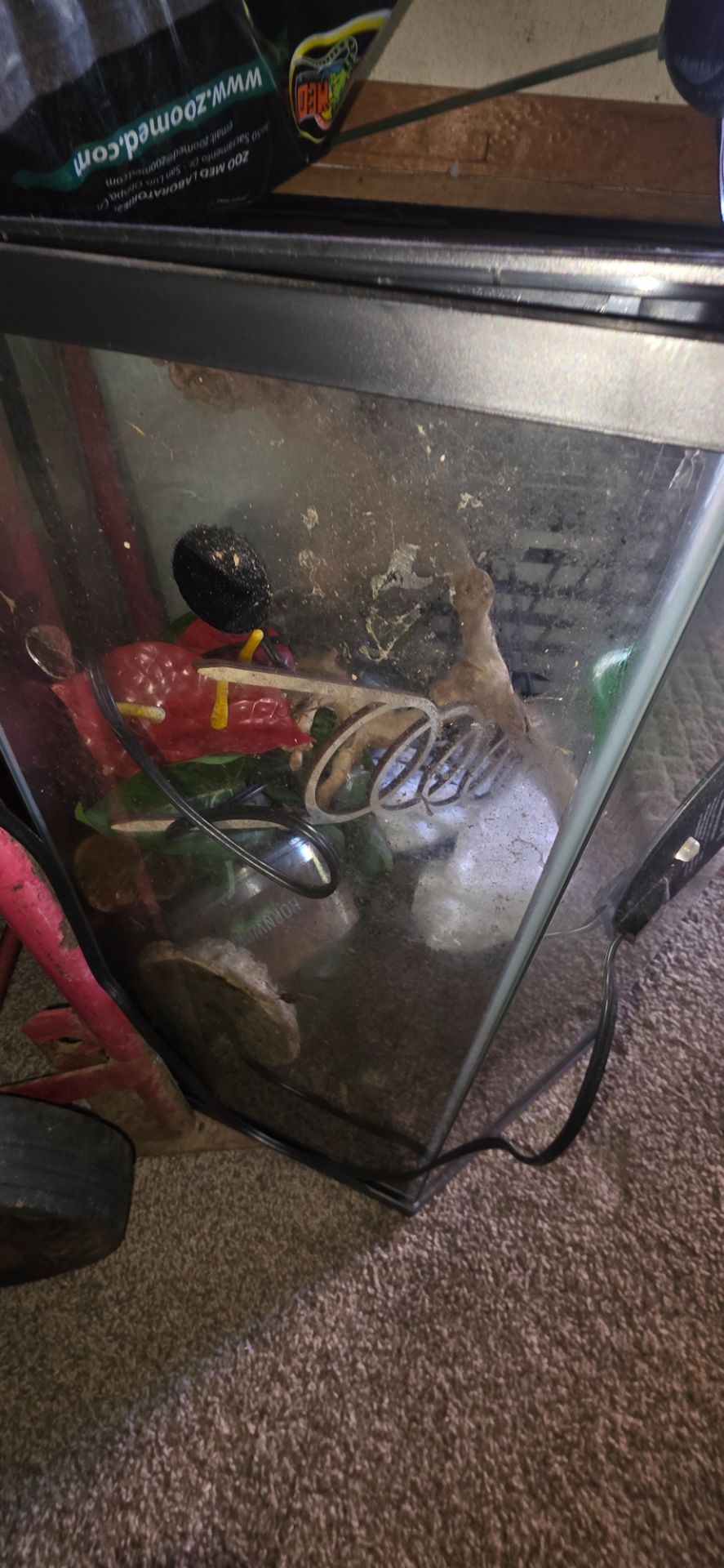 Reptile Terrarium