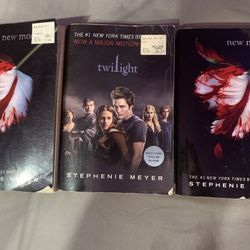 Twilight Books